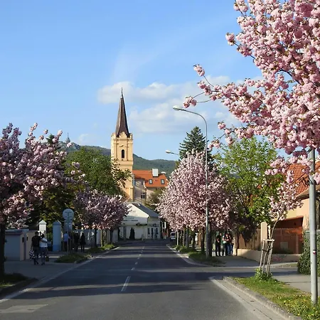 Castle - Modern Elegance & Serenity Appartamento